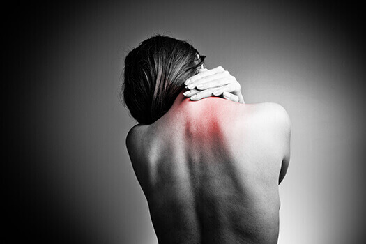 Relation Of Spine Anatomy And Pain in Los Angeles, CA