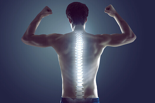 Essential Nutrients Needed to Maintain Spinal Health in Los Angeles, CA