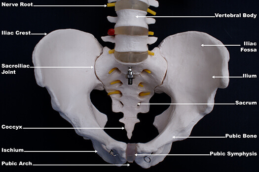 acupuncture for si joint