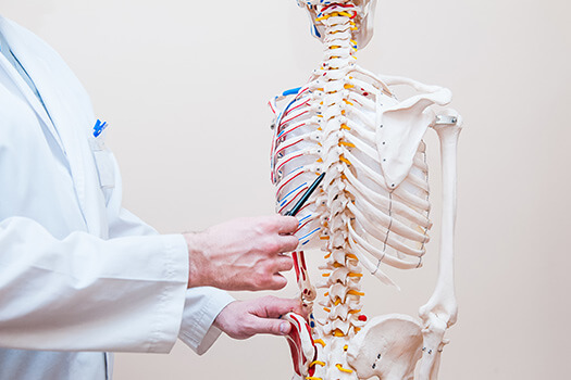 Softening of the Spinal Cord